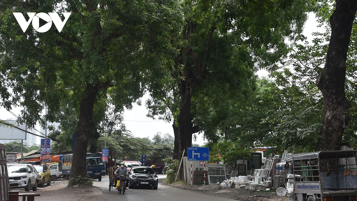 loat cay xa cu duong kinh lon bi cat ngon tro trui de phuc vu mo duong hinh anh 1