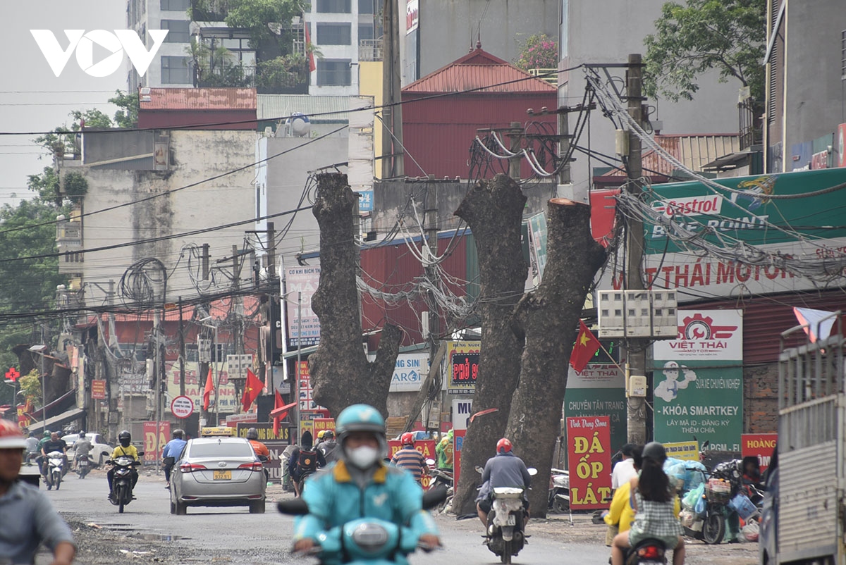 loat cay xa cu duong kinh lon bi cat ngon tro trui de phuc vu mo duong hinh anh 3