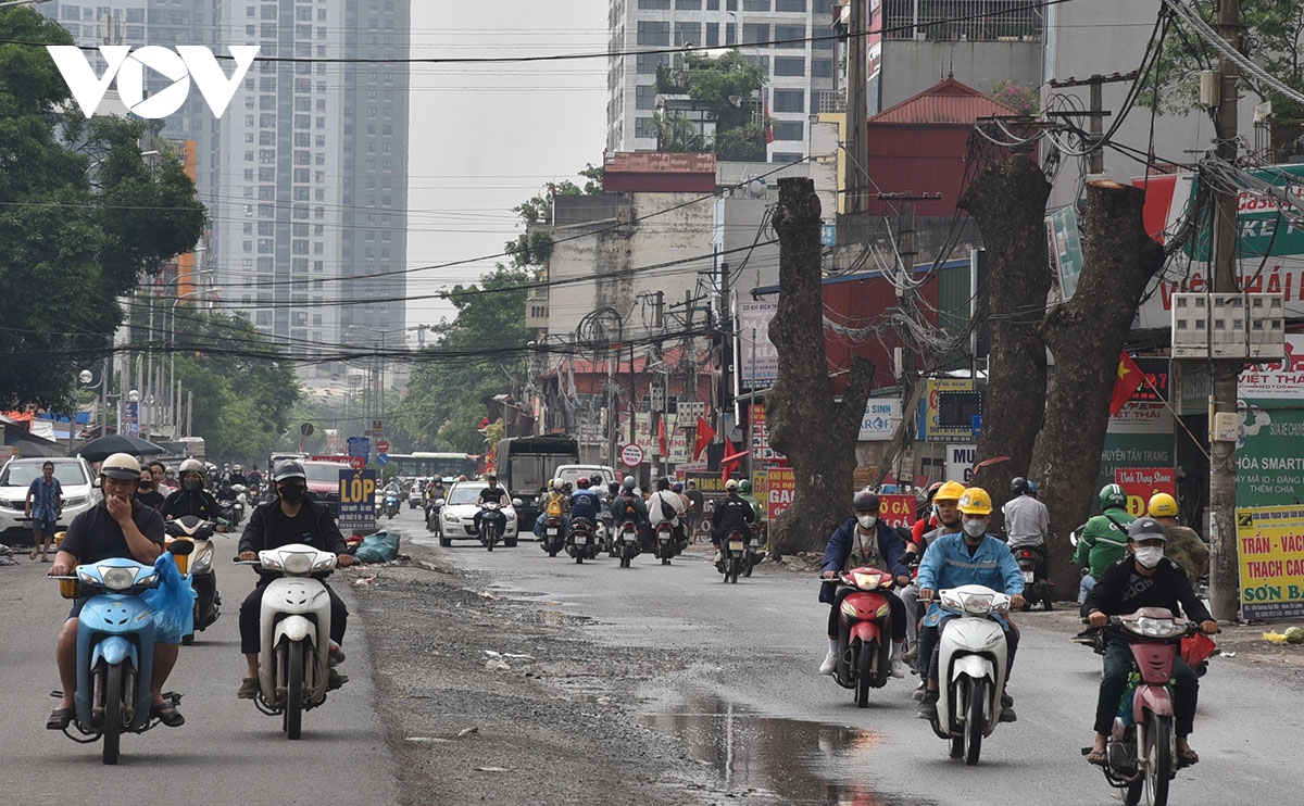 loat cay xa cu duong kinh lon bi cat ngon tro trui de phuc vu mo duong hinh anh 2