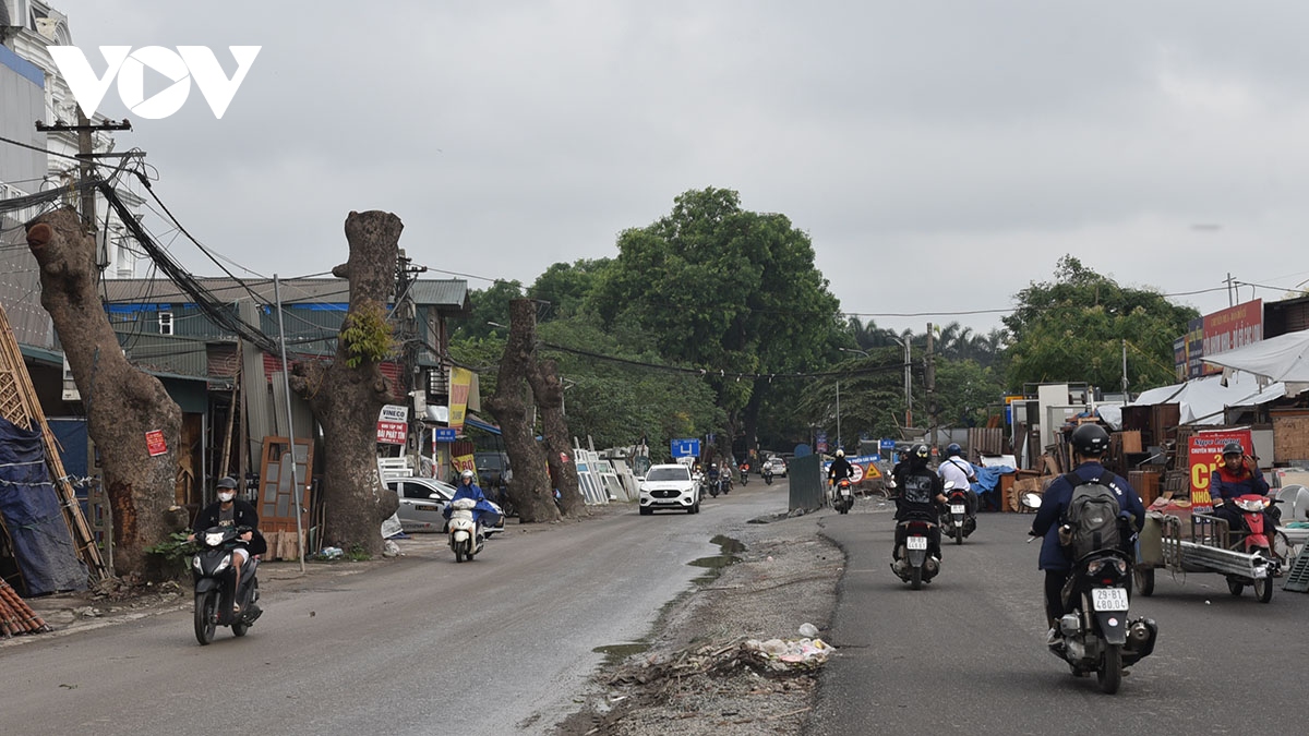 loat cay xa cu duong kinh lon bi cat ngon tro trui de phuc vu mo duong hinh anh 11