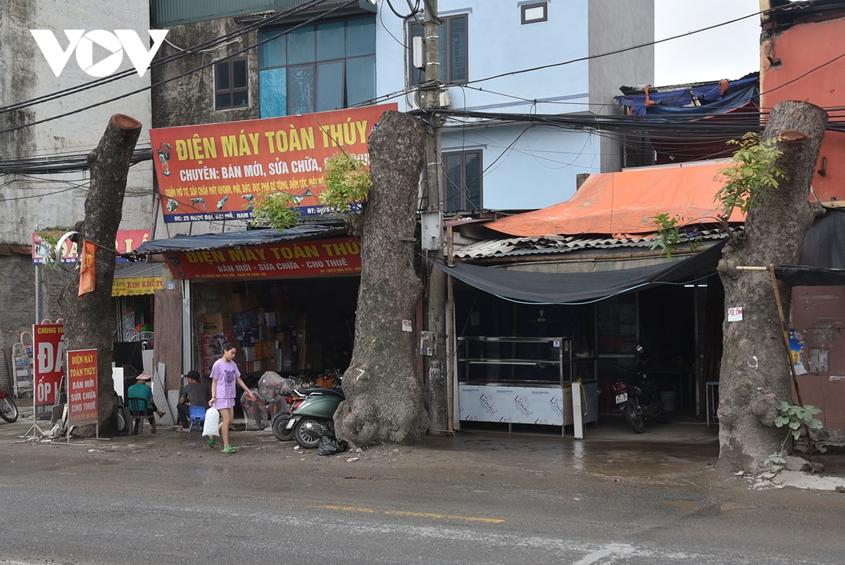 loat cay xa cu duong kinh lon bi cat ngon tro trui de phuc vu mo duong hinh anh 6