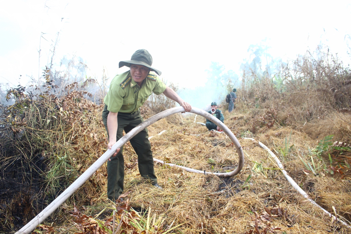 tu dau nam den nay, hau giang khong de xay ra chay rung hinh anh 2