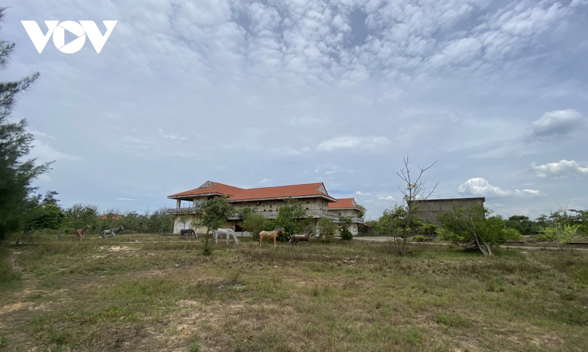 quang ngai thu hoi hang chuc du an dau tu cham tien do hinh anh 1