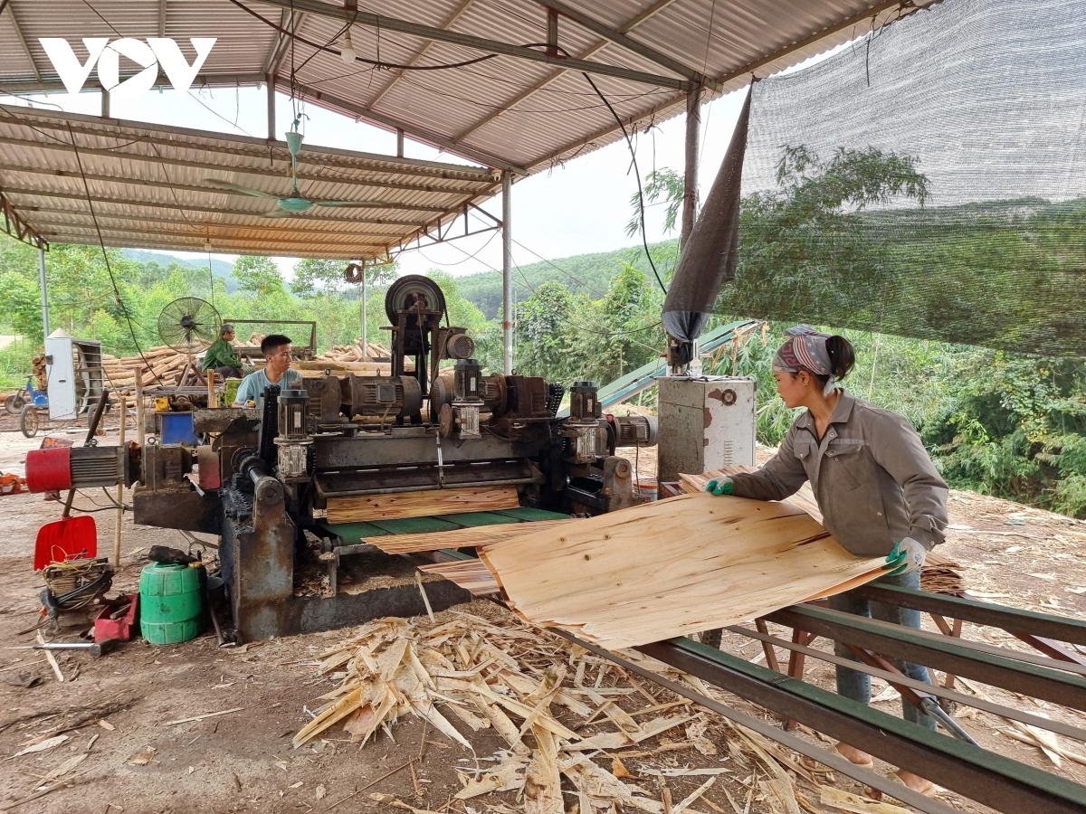 vu nha xuong trai phep o son Dong tinh nong , huyen lanh hinh anh 3