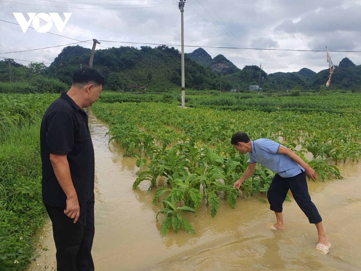 Mưa lớn ở Lạng Sơn gây ảnh hưởng giao thông, thiệt hại hoa màu