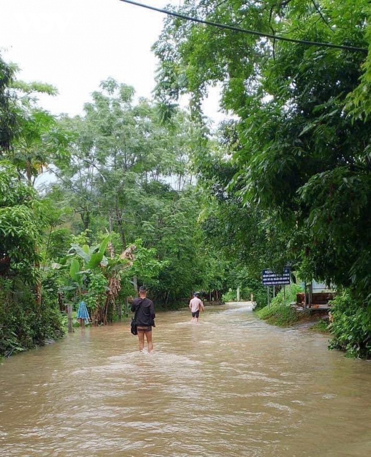 mua lon o lang son gay anh huong giao thong, thiet hai hoa mau hinh anh 2