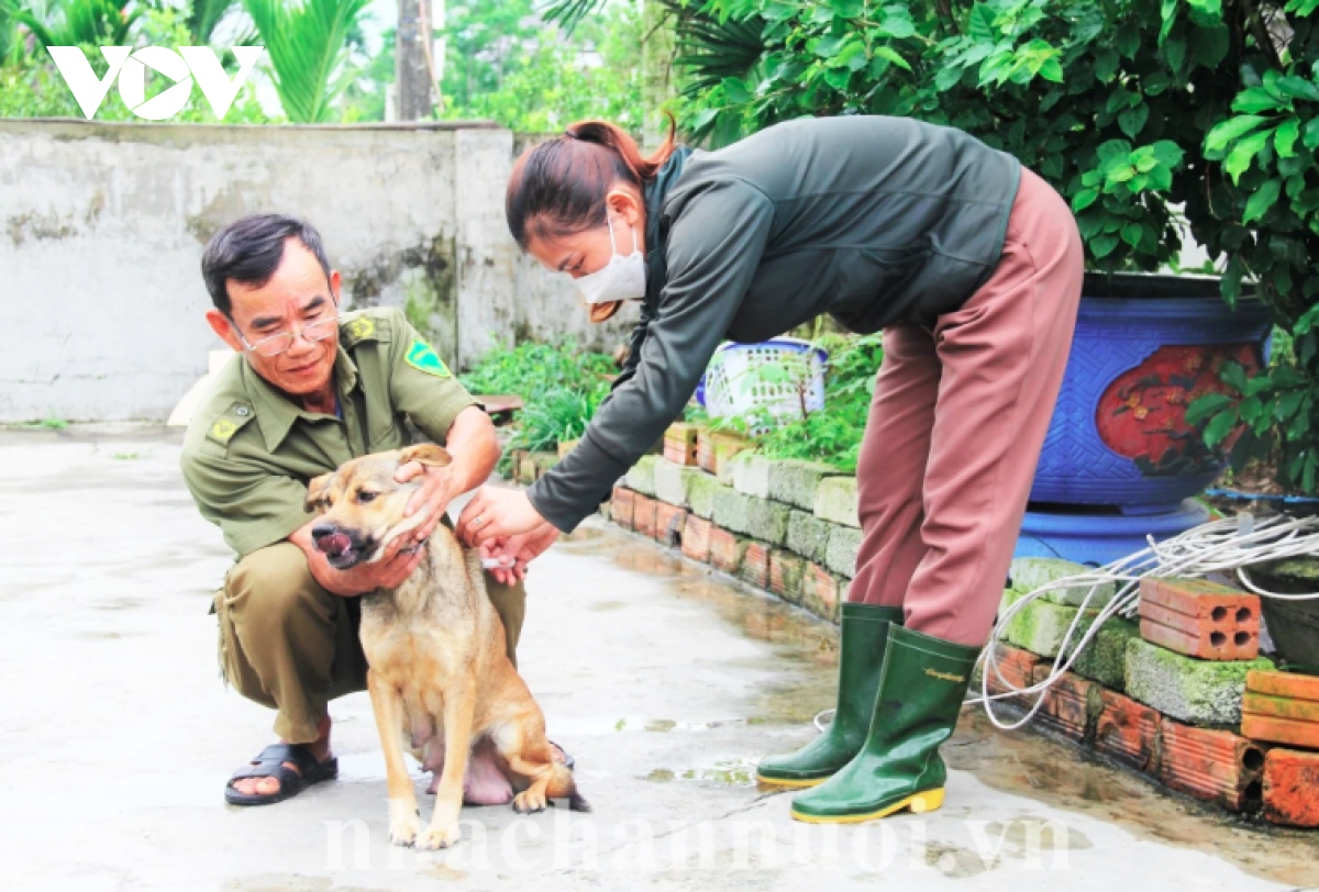 lien tiep truong hop cho tan cong nguoi khi nao het tinh trang cho tha rong hinh anh 2