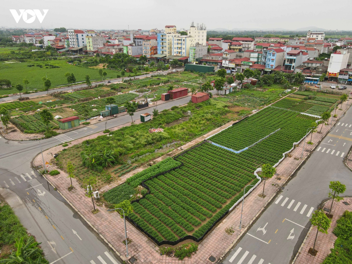 vi pham kinh doanh bDs, du an khu nha o thon man xa o bac ninh bi phat nang hinh anh 2