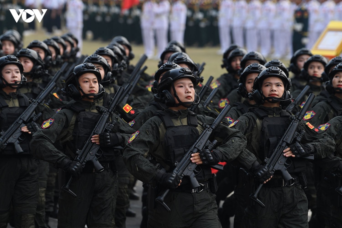tong duyet ky niem, dieu binh, dien hanh 70 nam chien thang Dien bien phu hinh anh 13