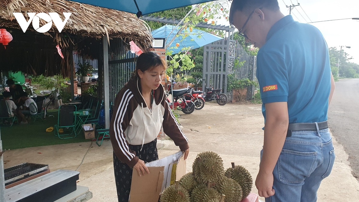  thu phu trai cay cua Dong nai buoc vao vu thu hoach ro sau rieng hinh anh 1