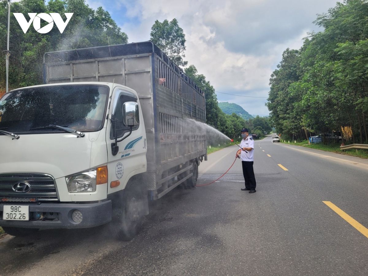 Cần sự phối hợp chặt chẽ trong công tác kiểm dịch động vật tại Bắc Kạn