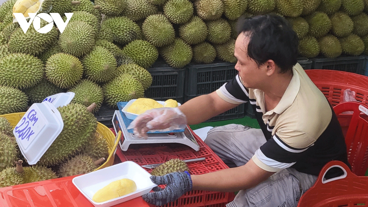 le hoi mua trai chin noi hoi tu cua nhung trai cay ngon nhat mien nam hinh anh 5