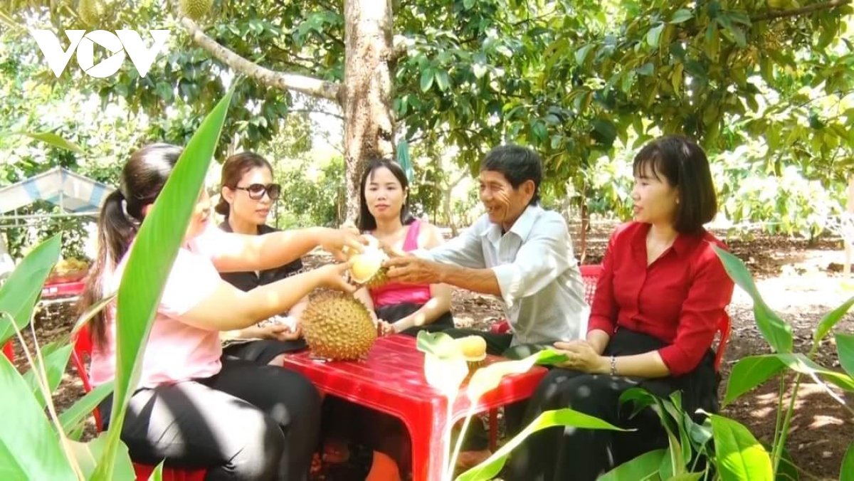  thu phu trai cay cua Dong nai buoc vao vu thu hoach ro sau rieng hinh anh 2