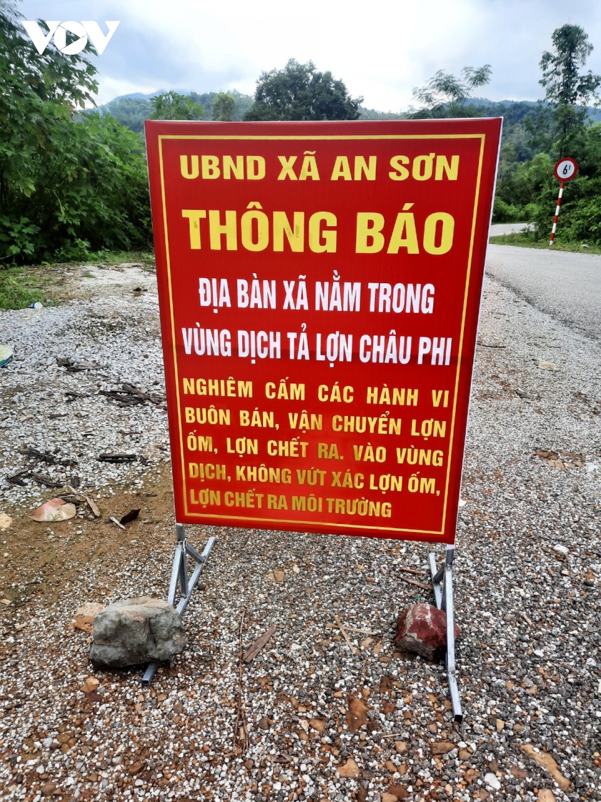 lang son cap bach phong, chong dich ta lon chau phi hinh anh 3