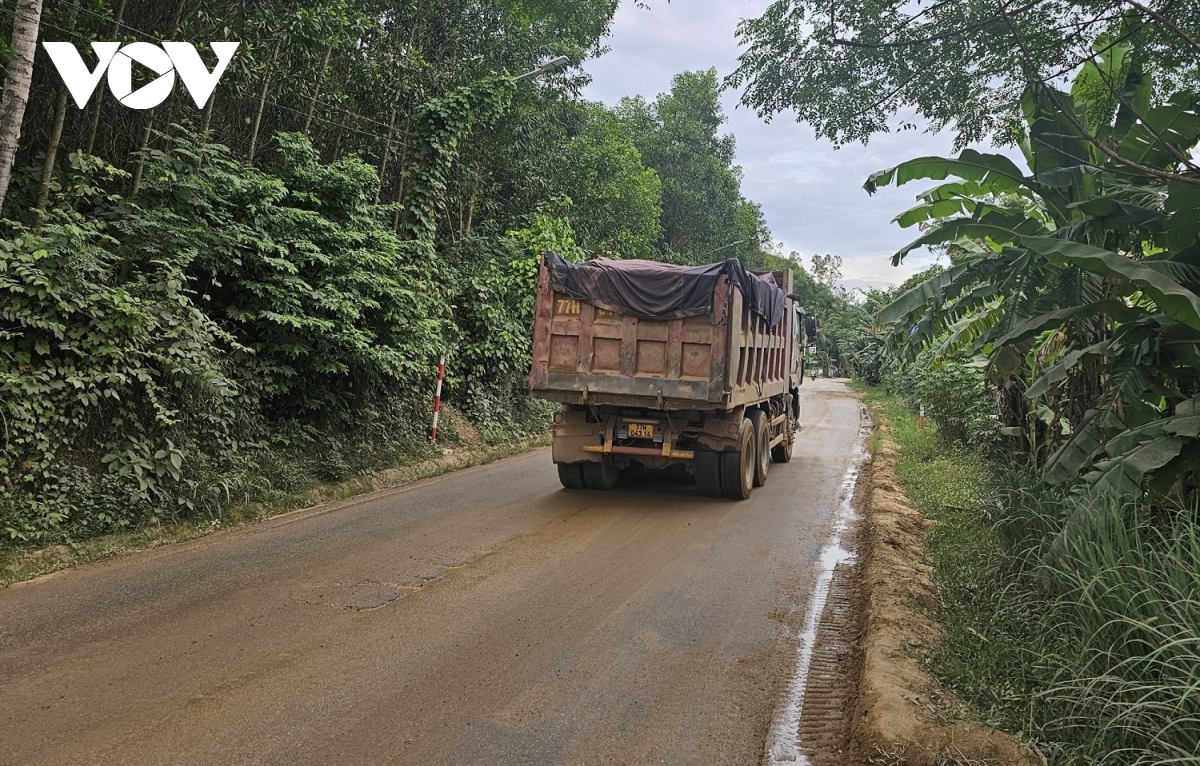 ngan ngam mat duong tinh lo 629 day o voi, o ga o binh Dinh hinh anh 2