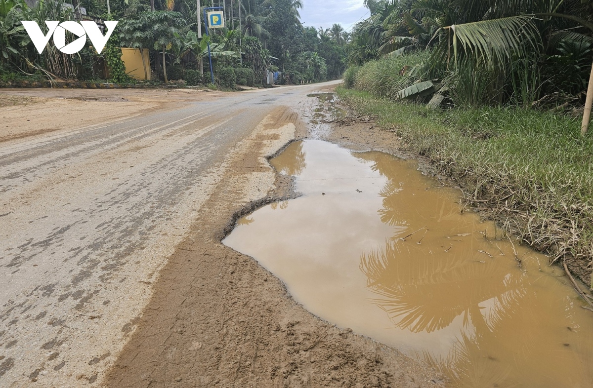 ngan ngam mat duong tinh lo 629 day o voi, o ga o binh Dinh hinh anh 3