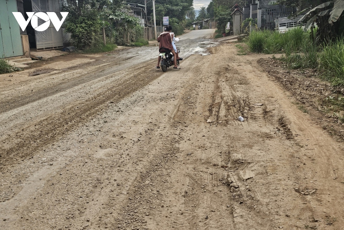 ngan ngam mat duong tinh lo 629 day o voi, o ga o binh Dinh hinh anh 6