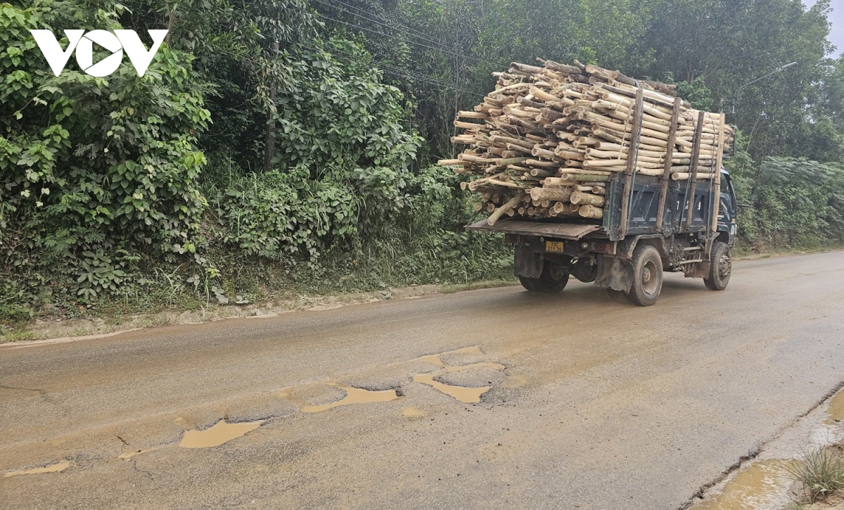 ngan ngam mat duong tinh lo 629 day o voi, o ga o binh Dinh hinh anh 7