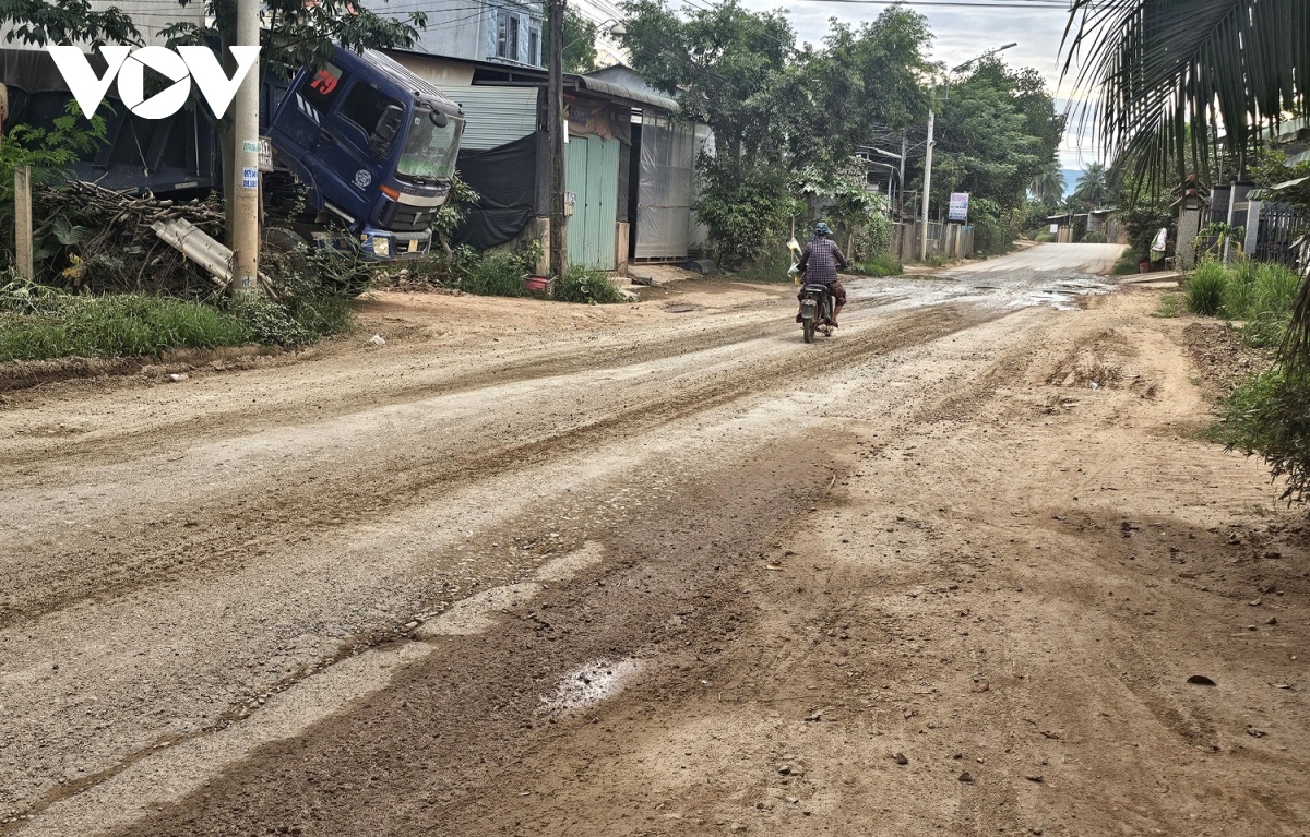 ngan ngam mat duong tinh lo 629 day o voi, o ga o binh Dinh hinh anh 9