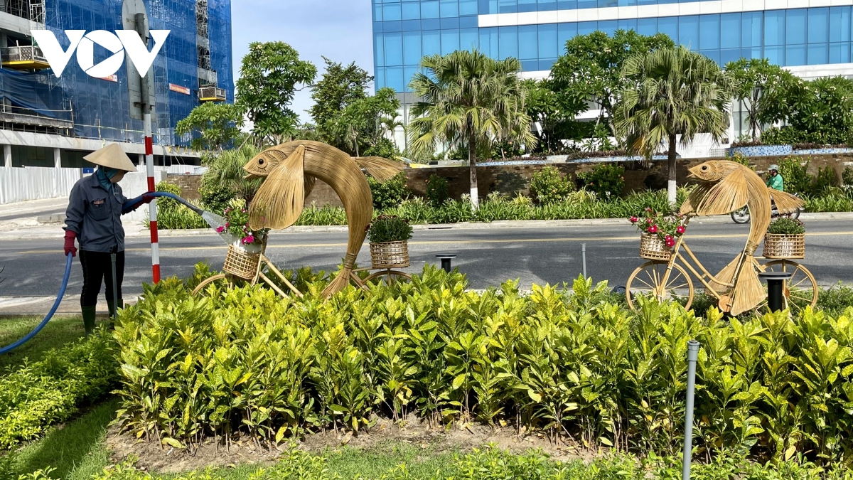 Da nang lan dau co duong hoa bien hinh anh 4