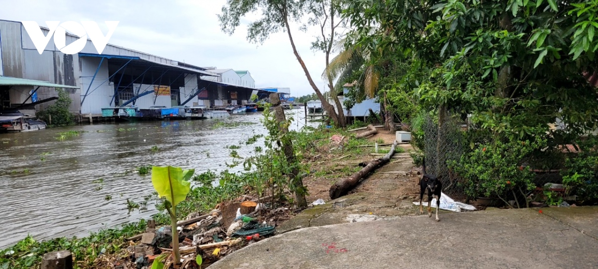 Tiền Giang khẩn trương khắc phục sạt lở cấp bách từ vốn hỗ trợ của Chính phủ