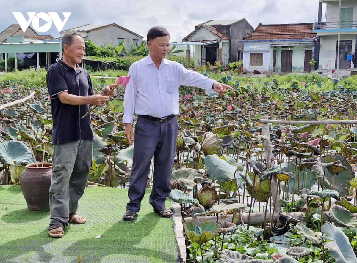 quang nam thuc day lien ket san xuat va tieu thu san pham nong nghiep hinh anh 1