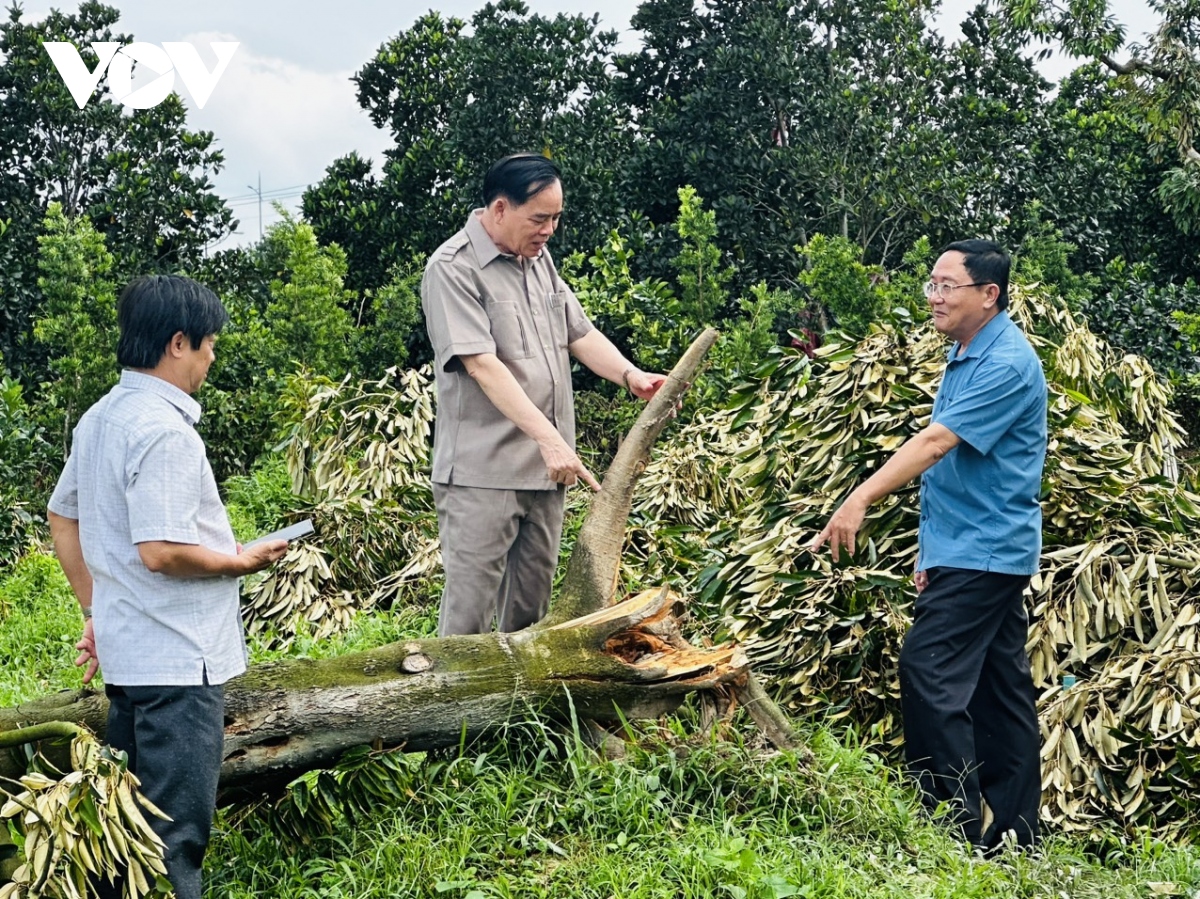 四开院：融开跳跳球，于莉乐疯了