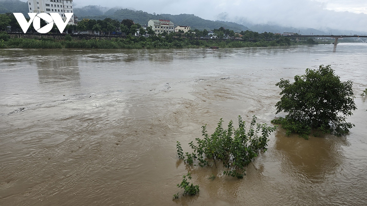 lu tren song hong qua lao cai dang cao nhat ke tu dau mua hinh anh 1