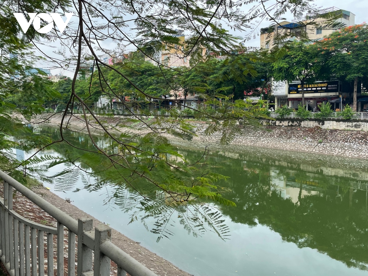 Người Hà Nội ngỡ ngàng khi nước sông Tô Lịch chuyển màu xanh