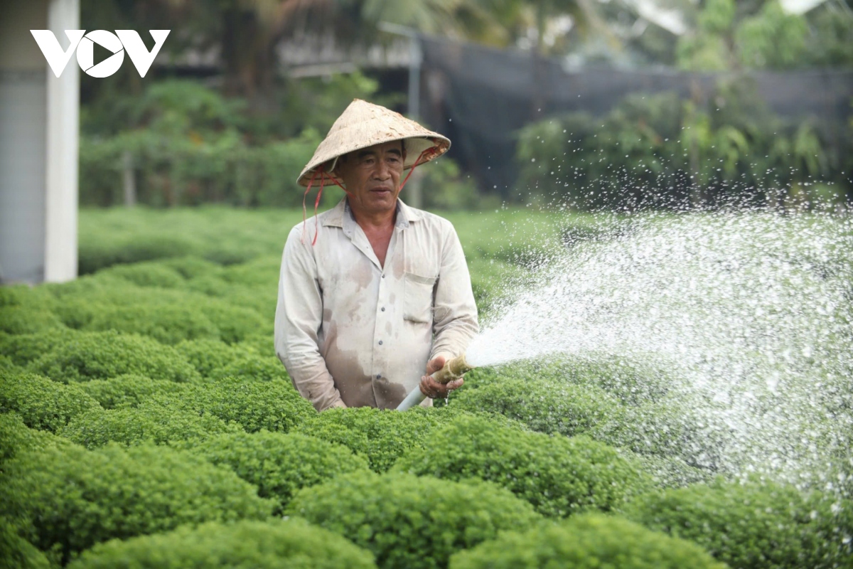 Người dân Bến Tre “Đồng khởi” đào ao hồ, vét mương tích thủy