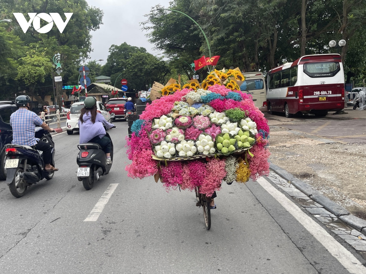 chen chan chup anh don thu tren pho ha noi hinh anh 13