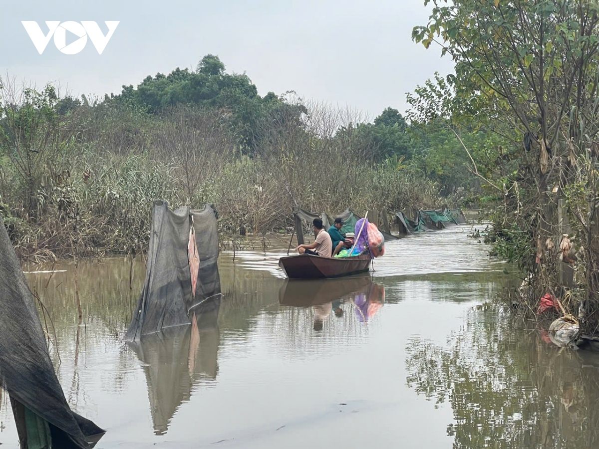 nuoc song hong dang cao, nguoi dan bai giua vuot lu di lam hinh anh 8