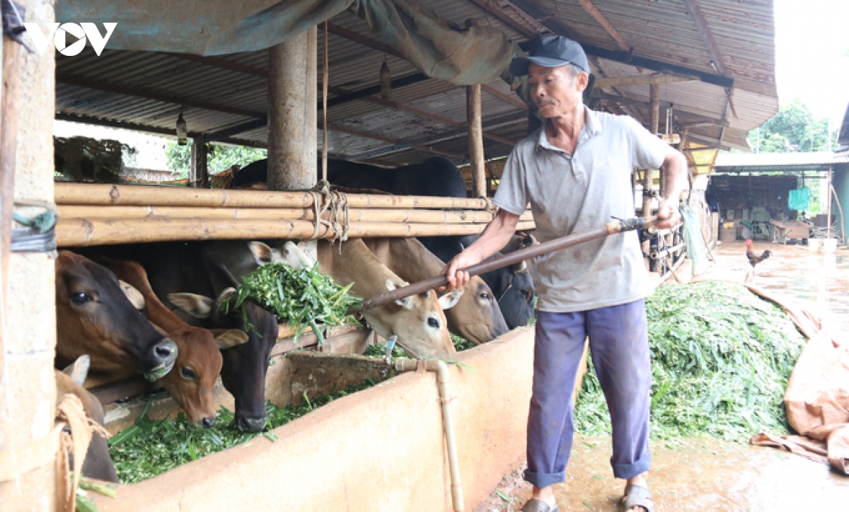 thay doi tap quan chan nuoi nang cao hieu qua kinh te hinh anh 1