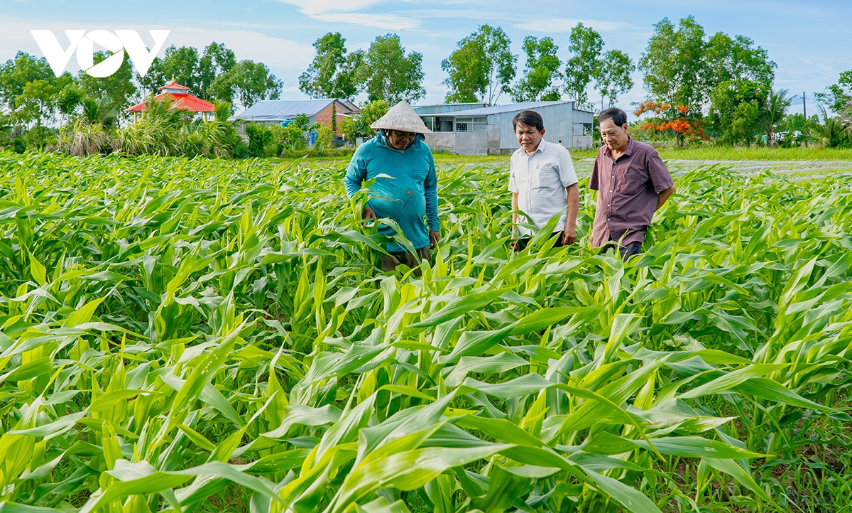 ca mau phat huy hieu qua nguon von giam ngheo hinh anh 3