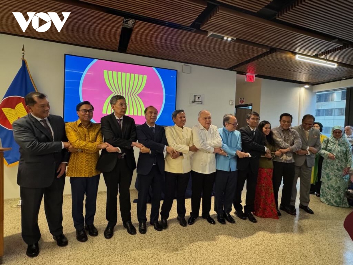 ky niem ngay asean nam 2024 tai thu do washington hinh anh 1