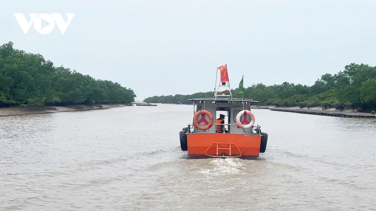 khu bao ton thien nhien dat ngap nuoc tien hai van giu nguyen dien tich 12.500 ha hinh anh 4