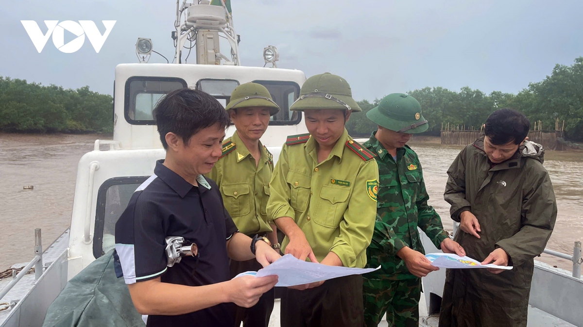 khu bao ton thien nhien dat ngap nuoc tien hai van giu nguyen dien tich 12.500 ha hinh anh 3