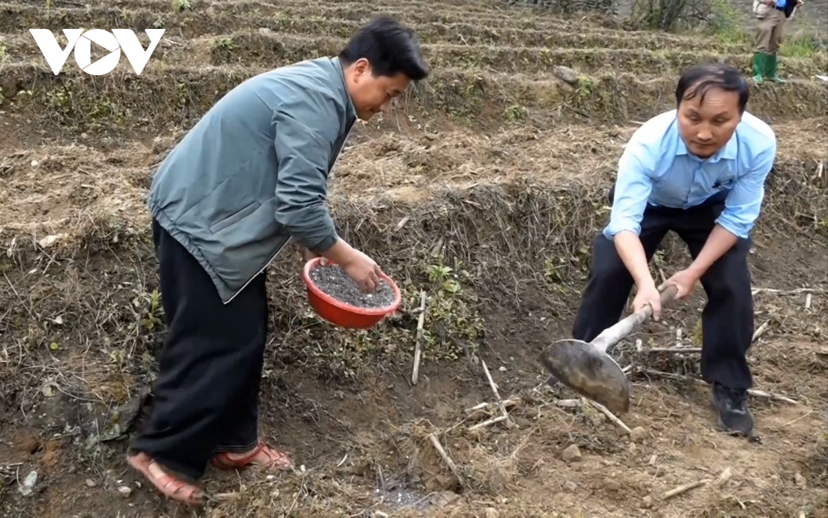 phat huy nang luc can bo tre nguoi dan toc thieu so o vung cao tram tau hinh anh 2