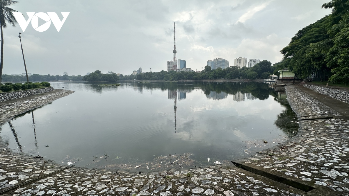 ca chet hang loat boc mui hoi thoi trong cong vien thong nhat,áchếtbốcmùihôithốitrongCôngviênThốngNhấ<strong></strong> ha noi hinh anh 1