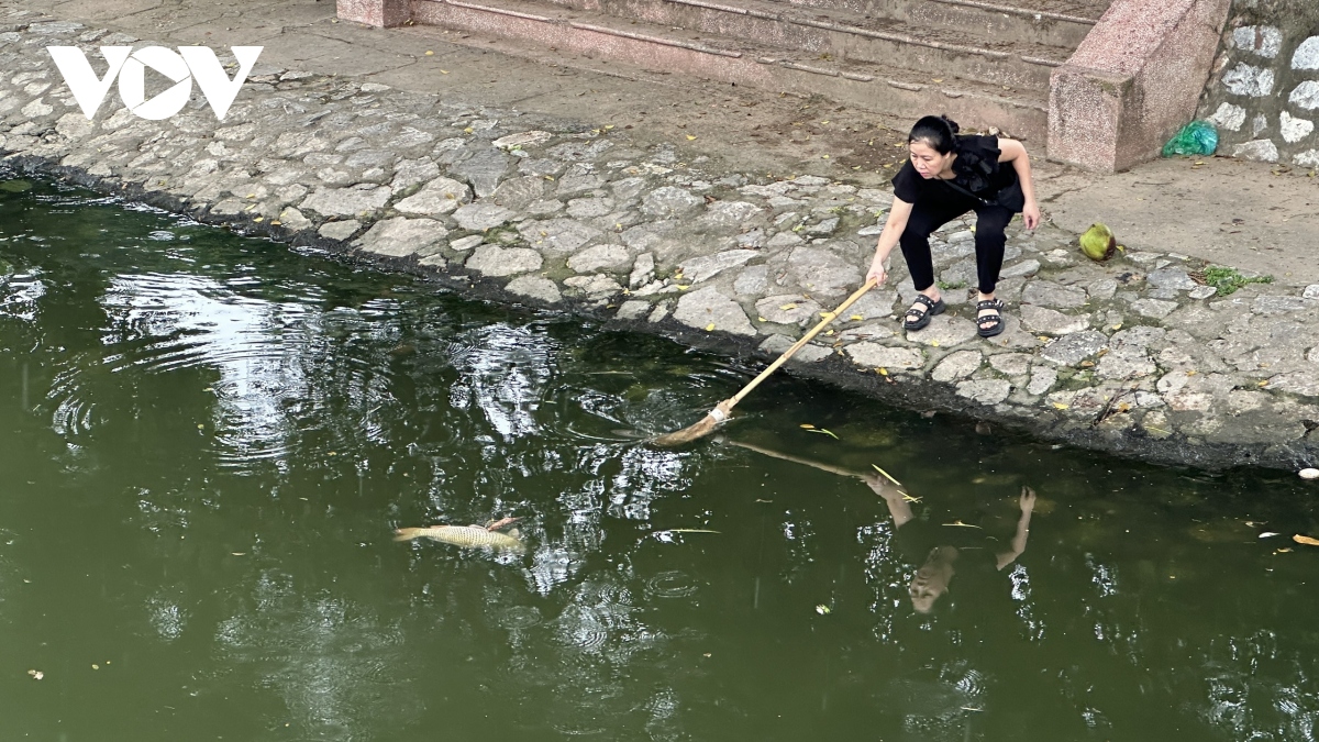 《美丽的绯闻》在线观看