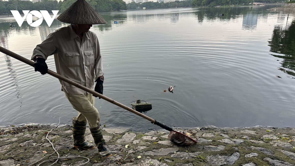 ca chet hang loat boc mui hoi thoi trong cong vien thong nhat, ha noi hinh anh 11