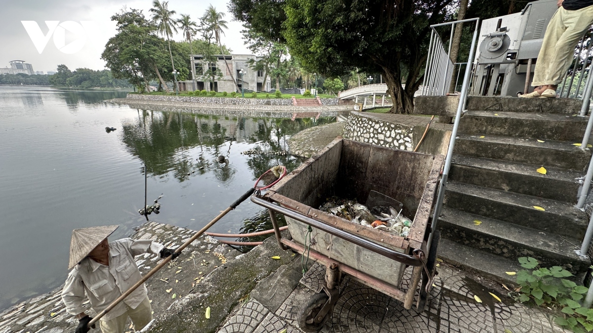 ca chet hang loat boc mui hoi thoi trong cong vien thong nhat, ha noi hinh anh 13