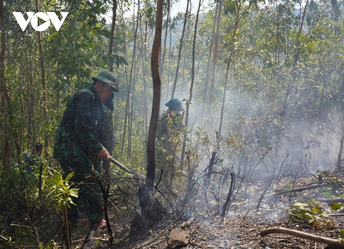 vu chay rung san xuat tai quang binh nang nong, gio to, lua dap roi lai bung phat hinh anh 1