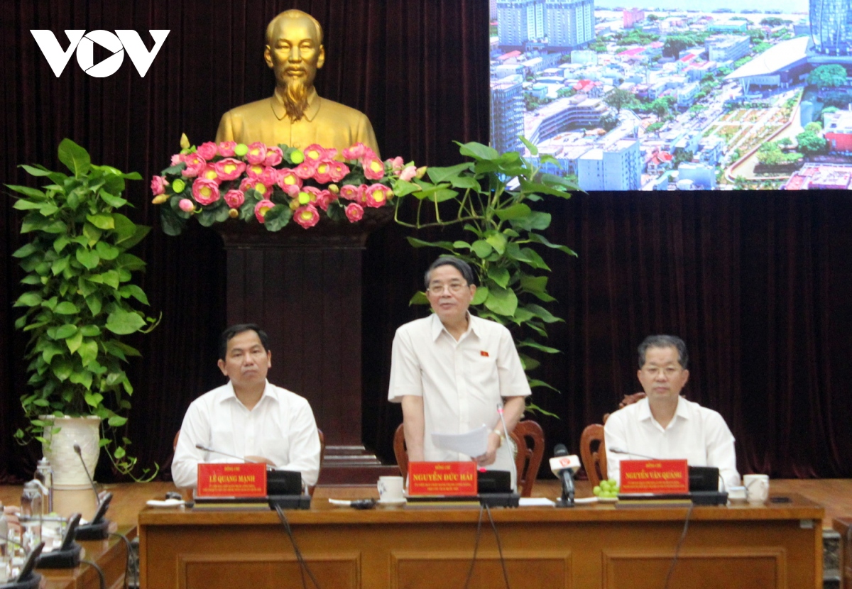 som thanh lap khu thuong mai tu do Da nang hinh anh 3