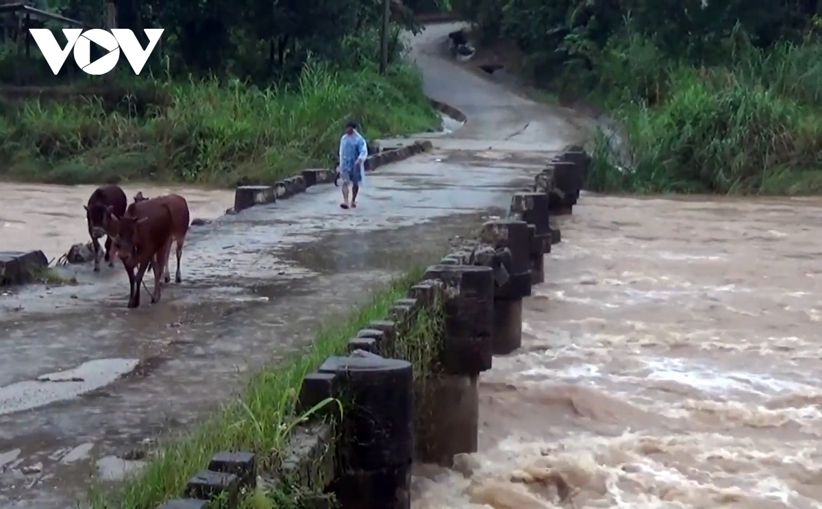 quang nam som chu dong bien phap ung pho, khac phuc hau qua mua lu hinh anh 1