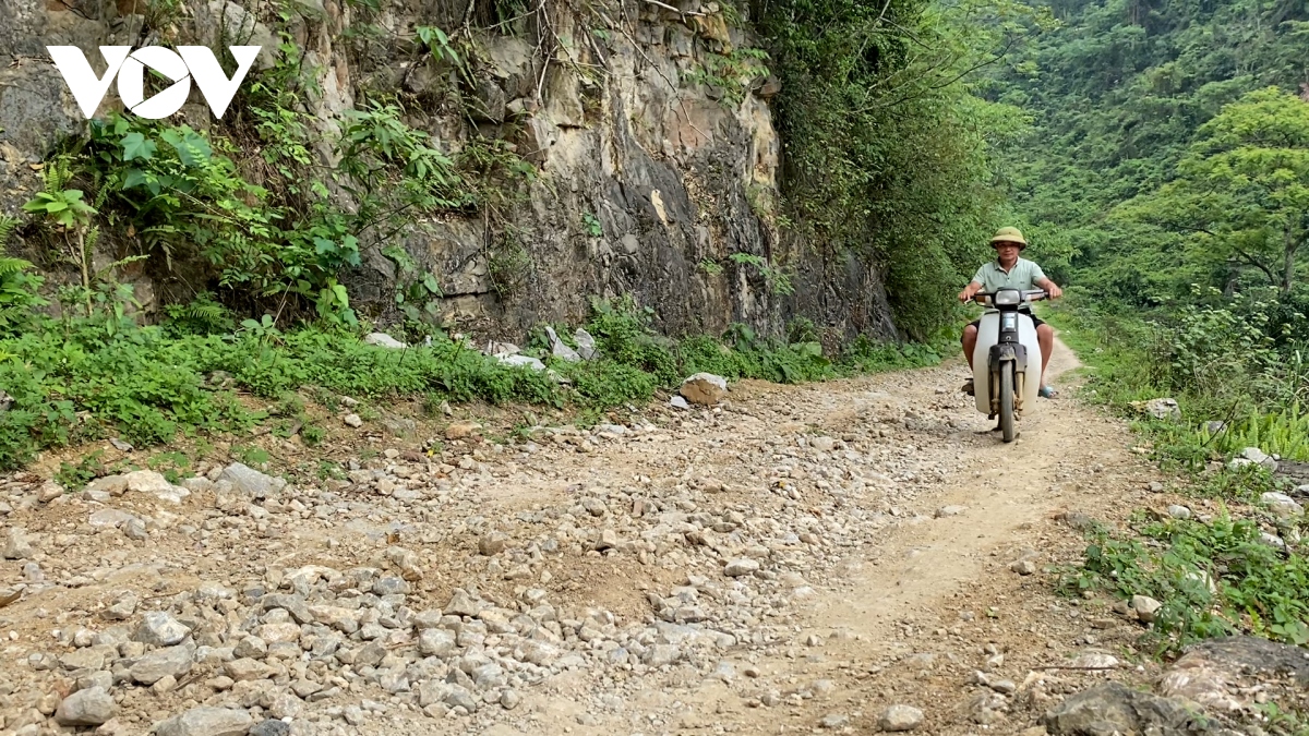 Dung de nguon luc dau tu tro thanh lang phi hinh anh 1