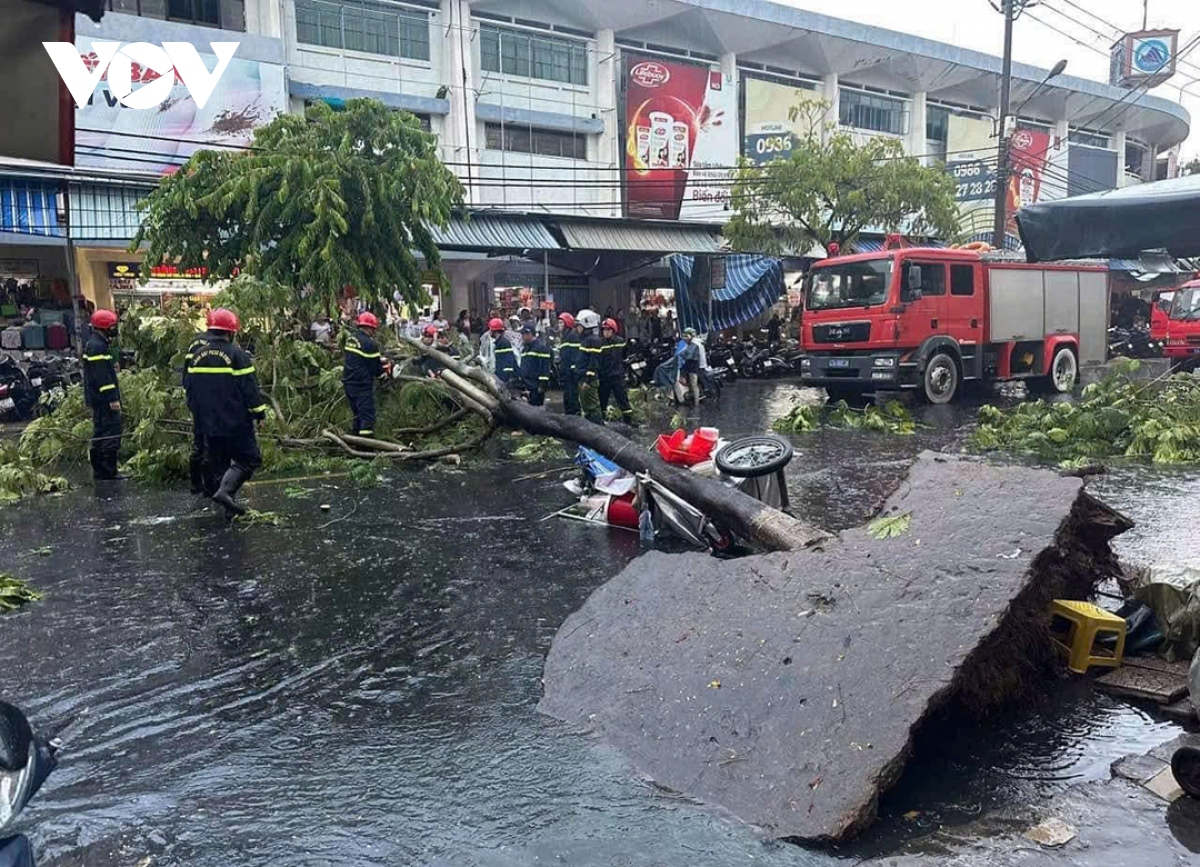 mua to, cay bat goc de 1 nguoi bi thuong o Da nang hinh anh 1