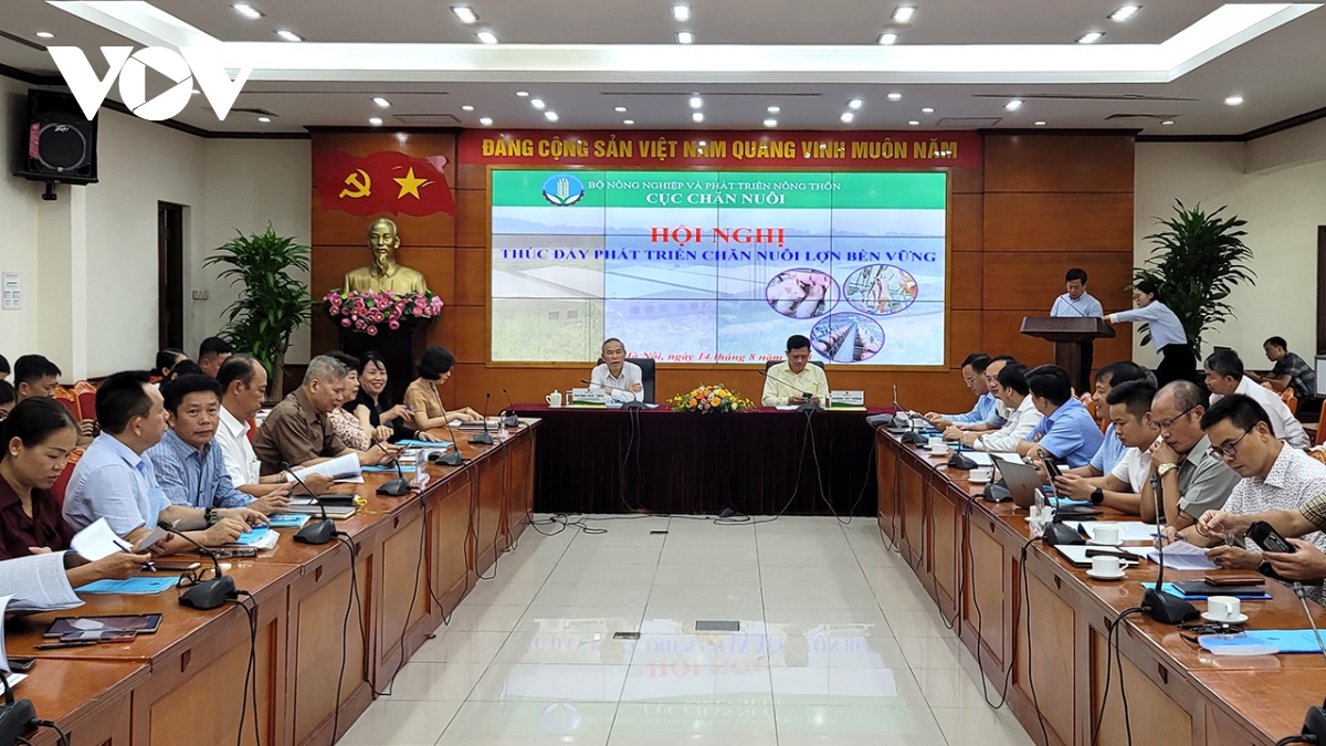 Ngành chăn nuôi đảm bảo nguồn cung thịt lợn tăng 15% trước, trong và sau Tết
