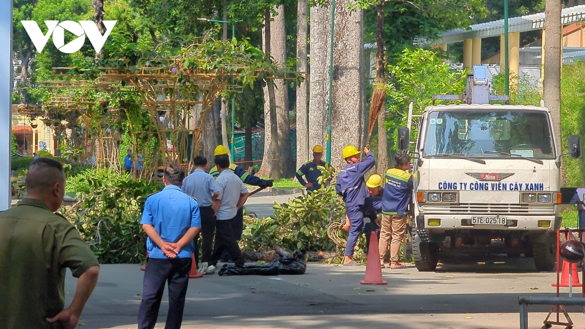 nhanh cay lon trong cong vien tao Dan gay roi trung nhieu nguoi, khien 2 nguoi tu vong hinh anh 2