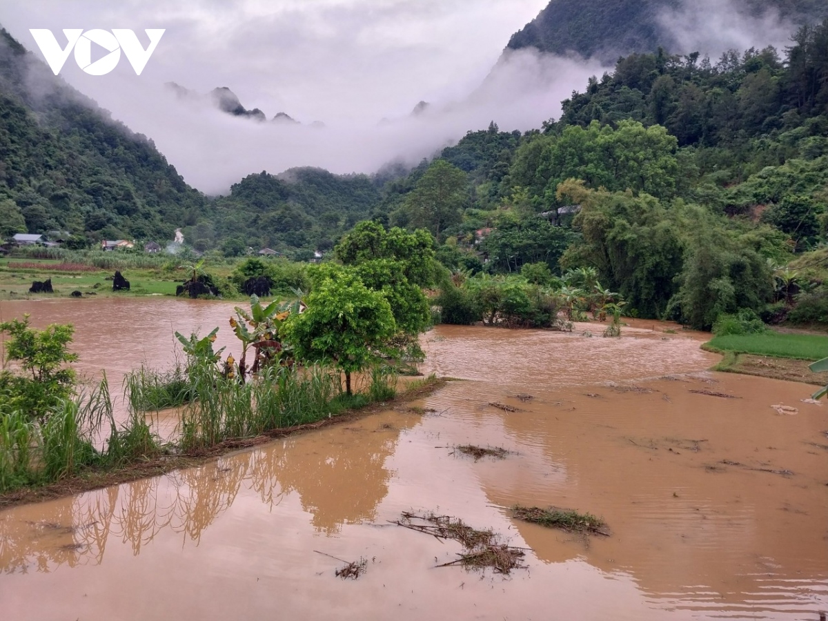 mua lon tai tinh cao bang khien nhieu nha cua va dien tich hoa mau bi ung ngap hinh anh 1